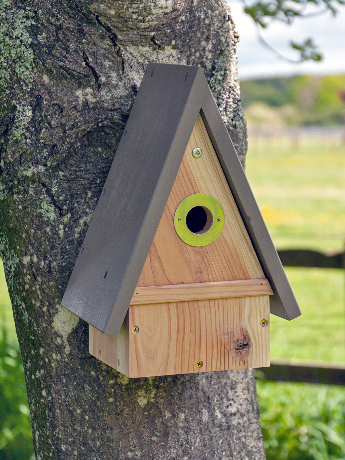 Multi Species Birdhouse