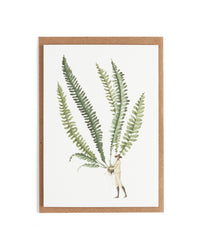 Laura Stoddart FABULOUS FERNS NOTECARDS