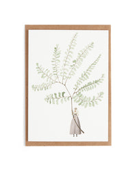 Laura Stoddart FABULOUS FERNS NOTECARDS
