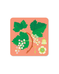 Jenny Duff Currant Coaster