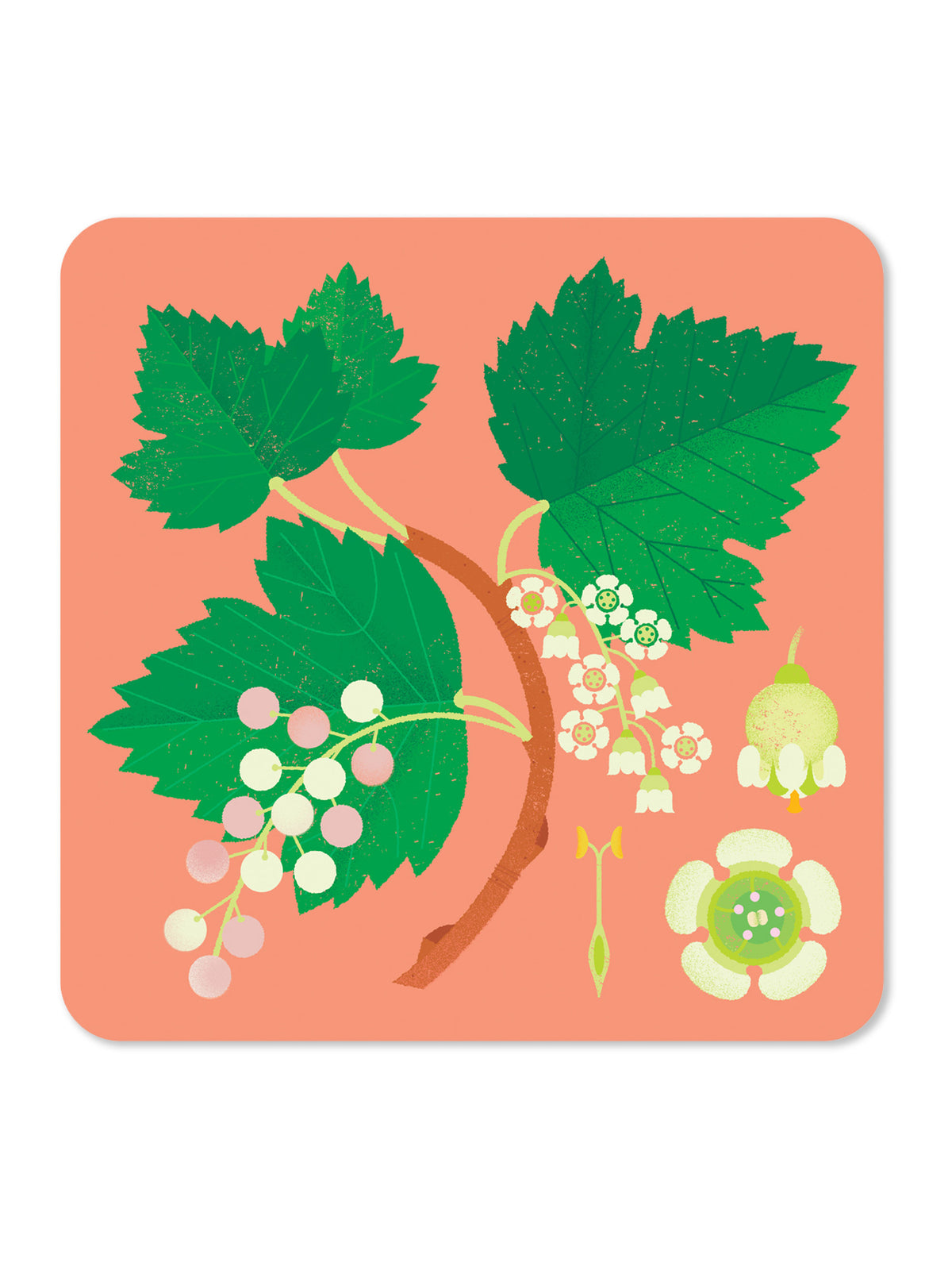 Jenny Duff Currant Table Mat