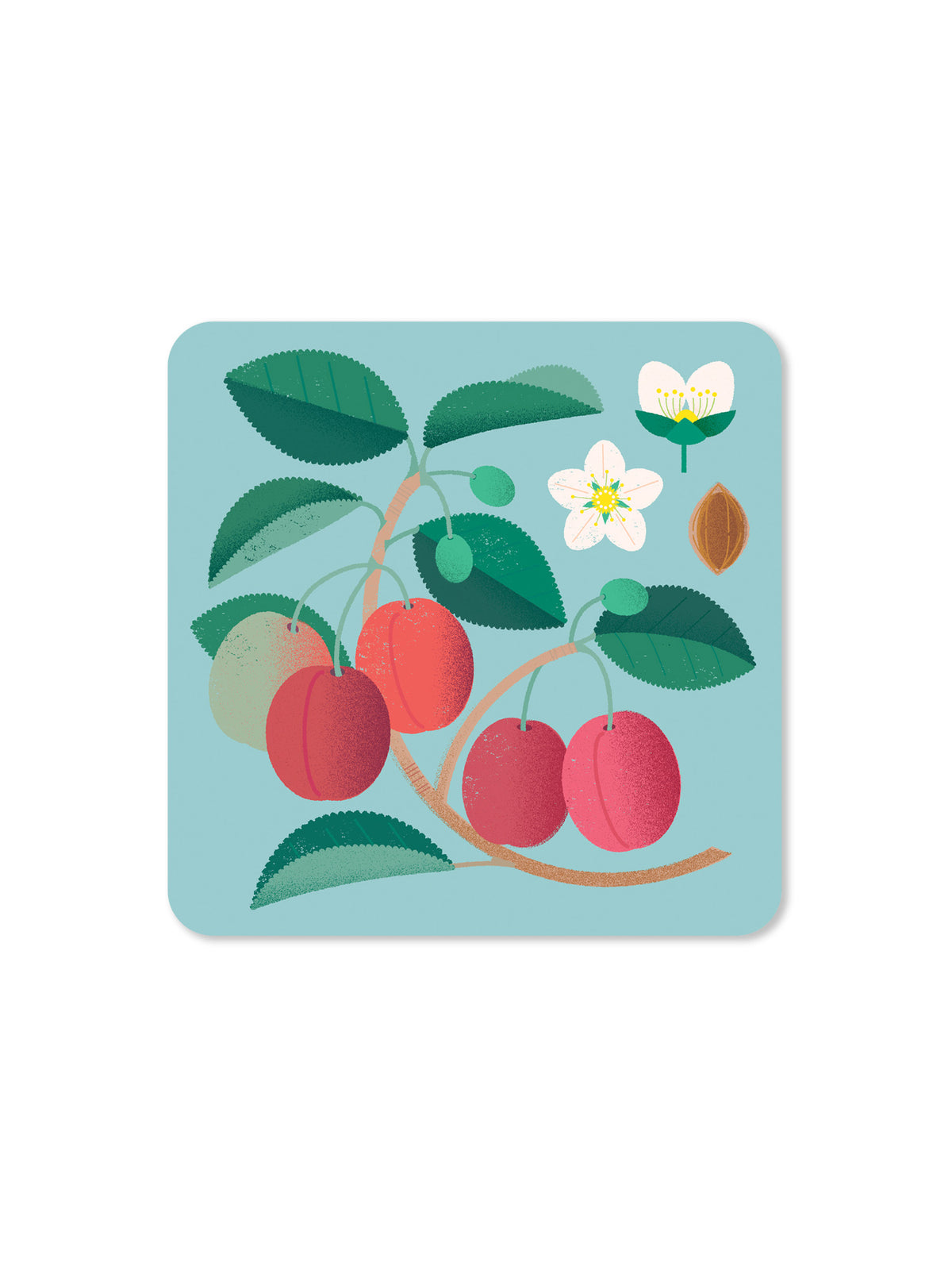 Jenny Duff Plum Coaster