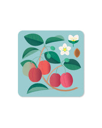 Jenny Duff Plum Coaster