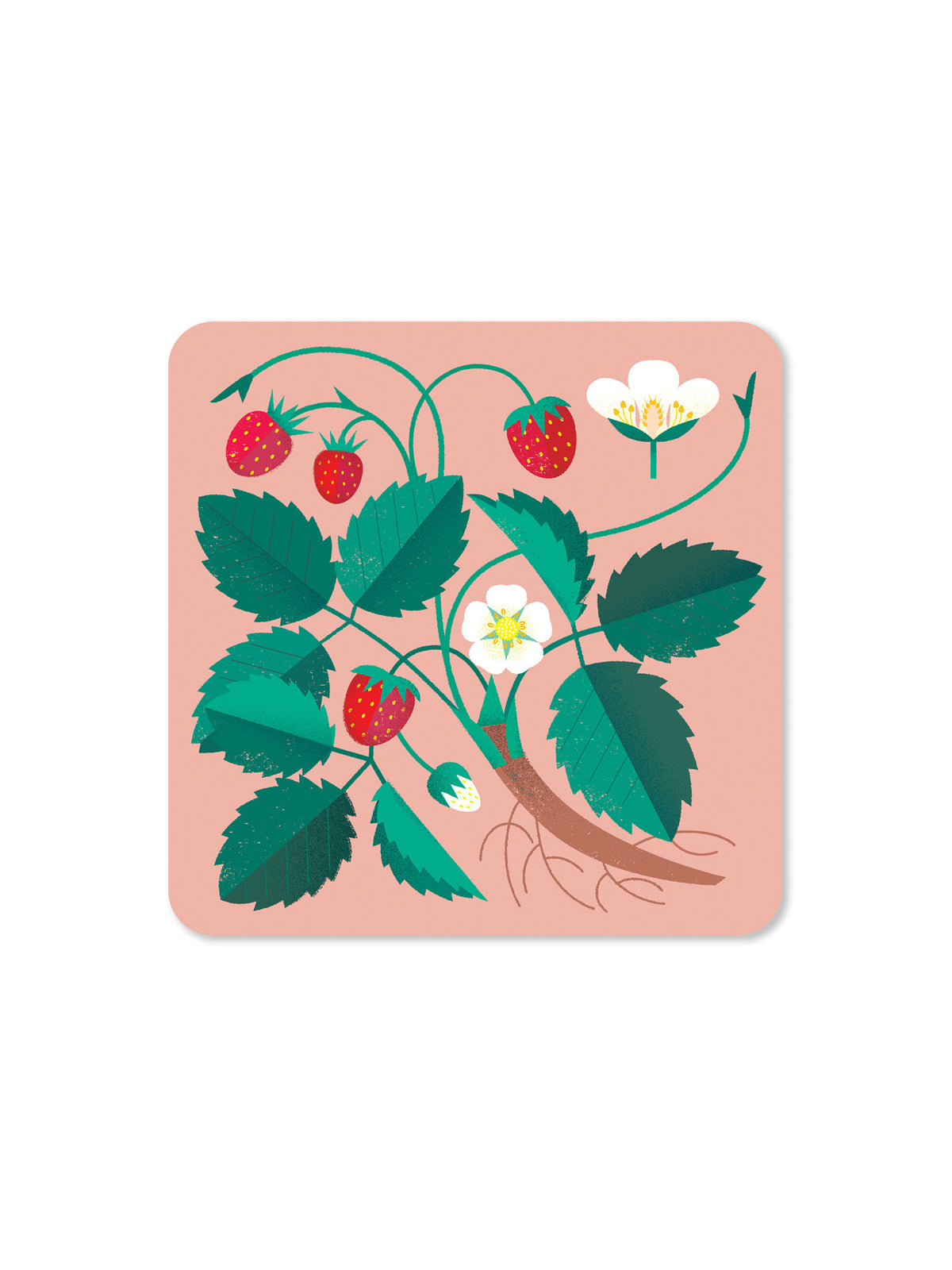 Jenny Duff Strawberry Coaster