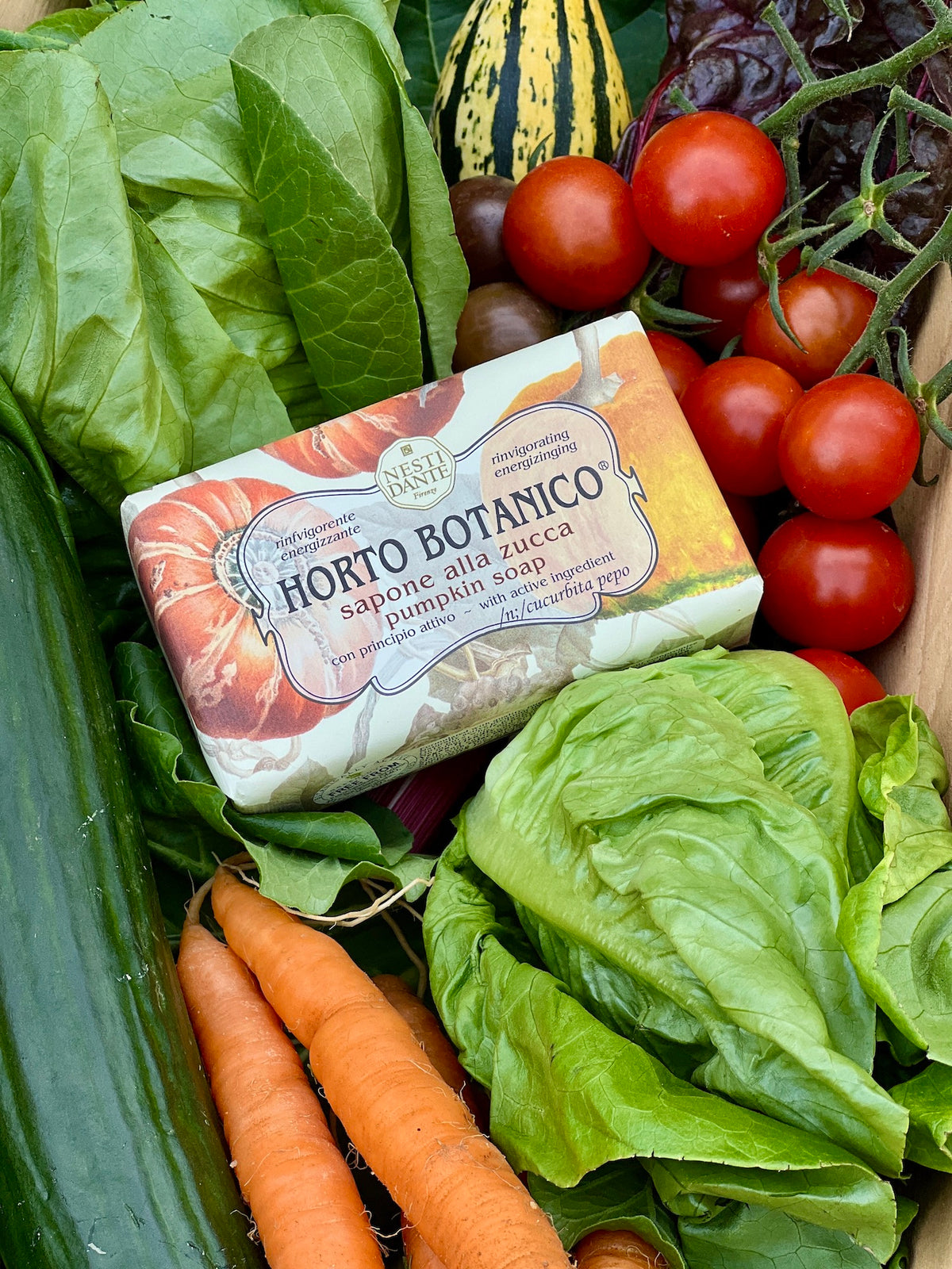 Nesti Dante Horto Botanico Pumpkin Soap
