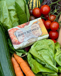 Nesti Dante Horto Botanico Pumpkin Soap