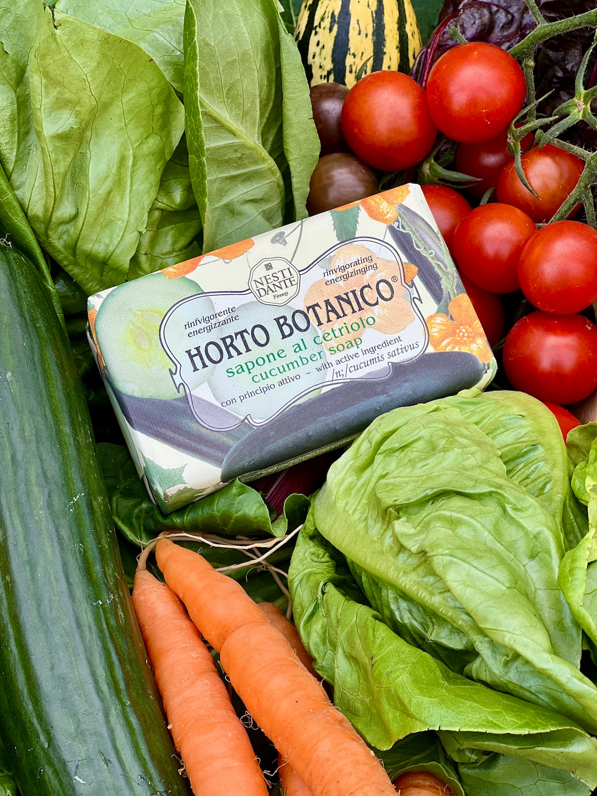 Nesti Dante Horto Botanico Cucumber Soap