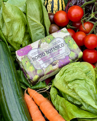 Nesti Dante Horto Botanico Artichoke Soap