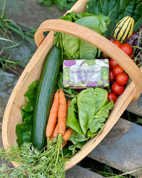 Nesti Dante Horto Botanico Artichoke Soap
