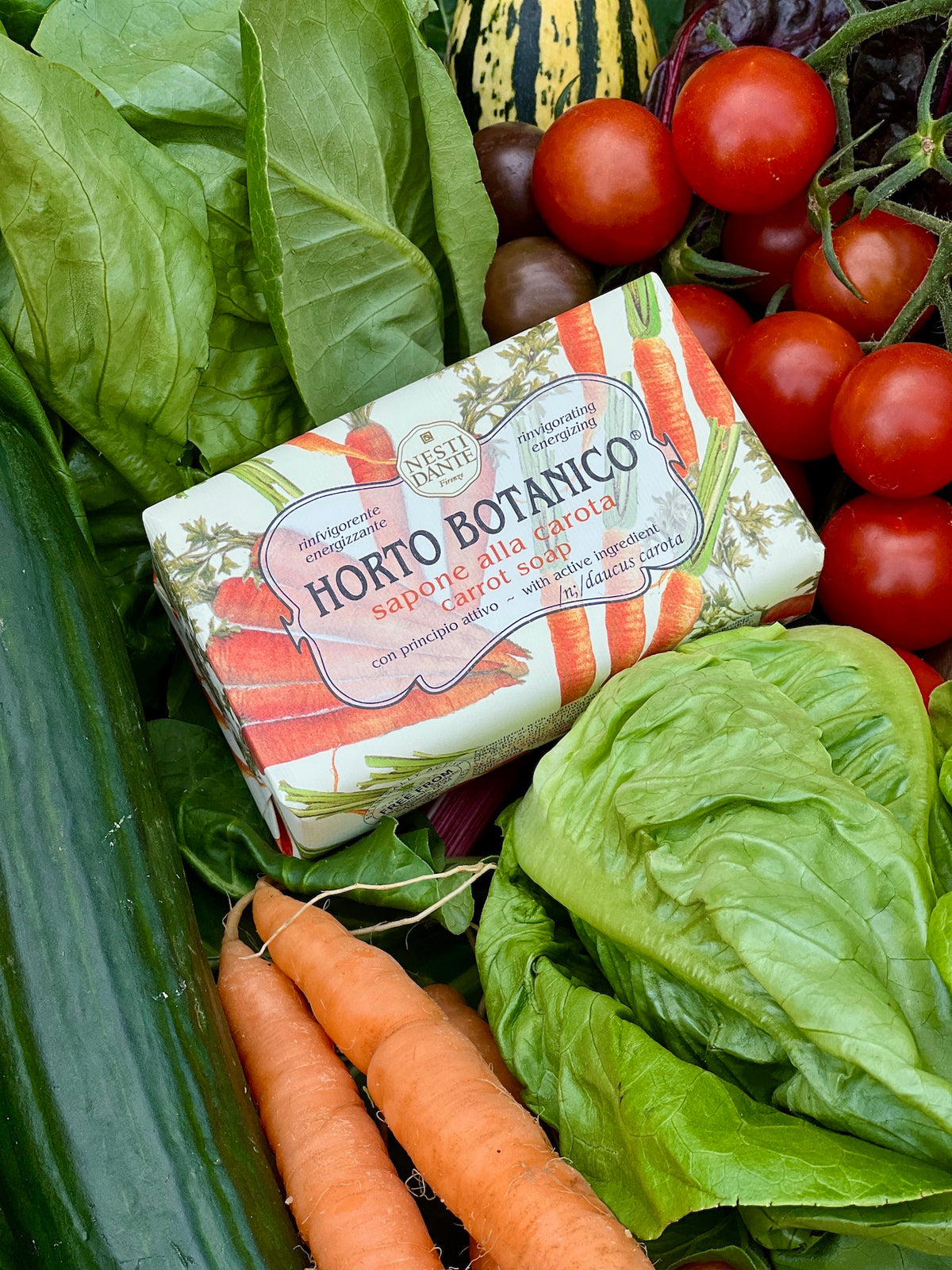 Nesti Dante Horto Botanico Carrot Soap