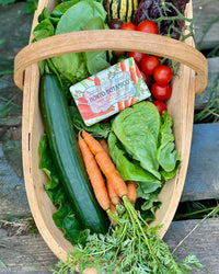 Nesti Dante Horto Botanico Carrot Soap