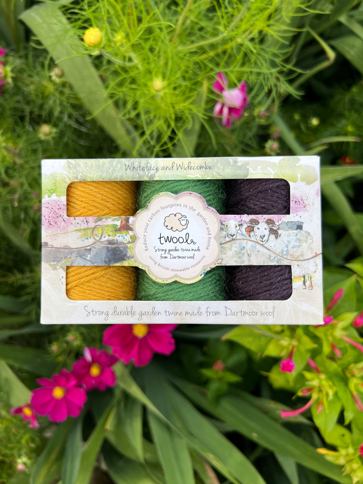 Twool Twine Widecombe Fair Gift Box