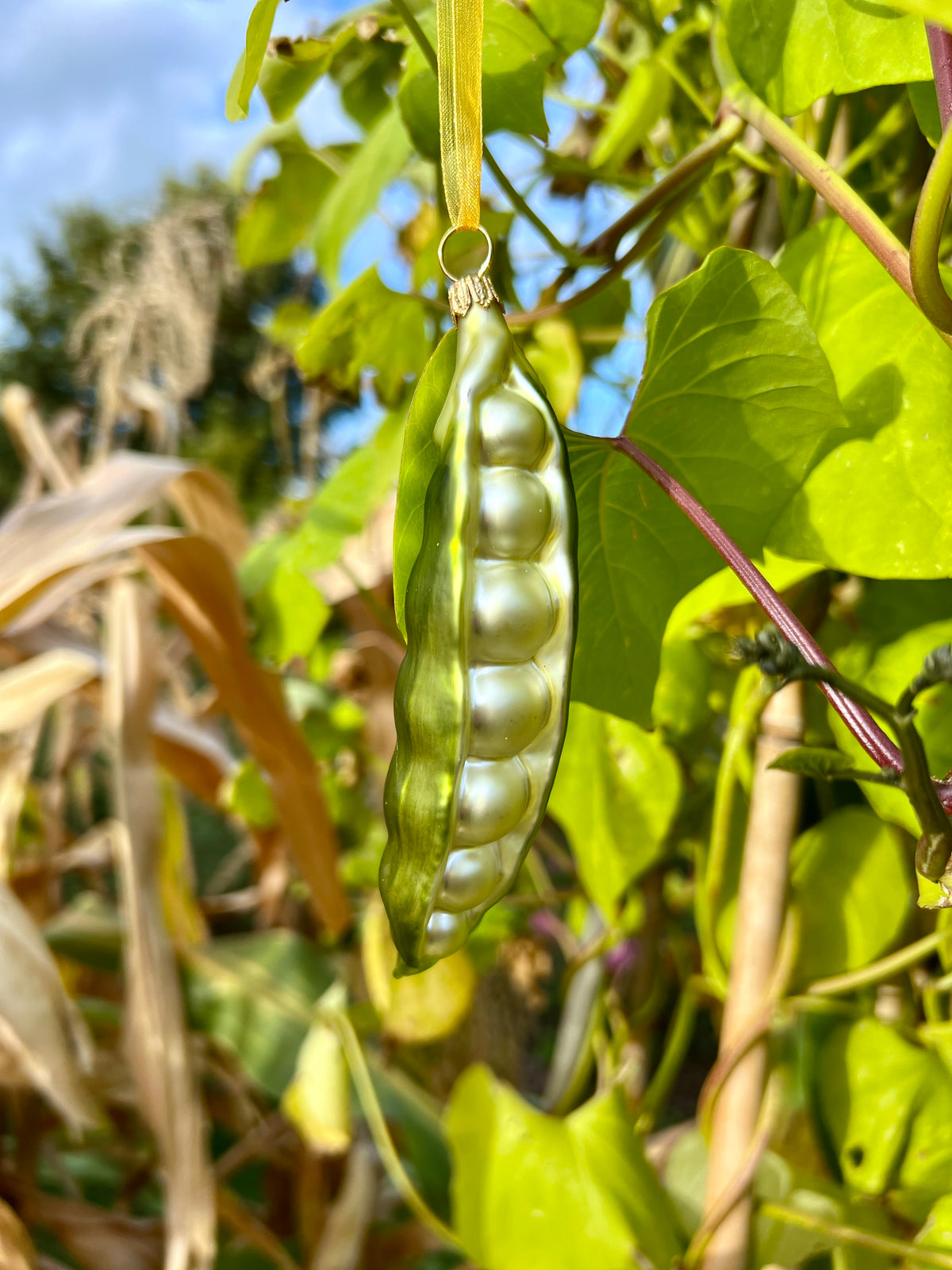 Dan Cooper Garden Peapod Christmas Decoration