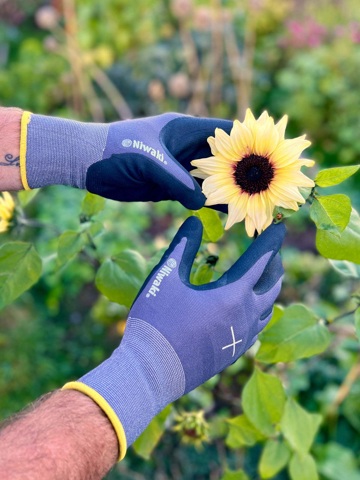Niwaki Unisex Gardening Gloves, Extra Large