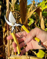 Niwaki GR Pro Secateurs
