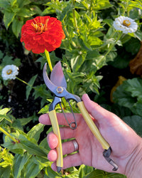 Niwaki GR Pro Secateurs