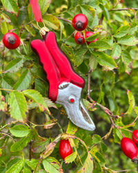 Dan Cooper Garden Secateurs Christmas Decoration