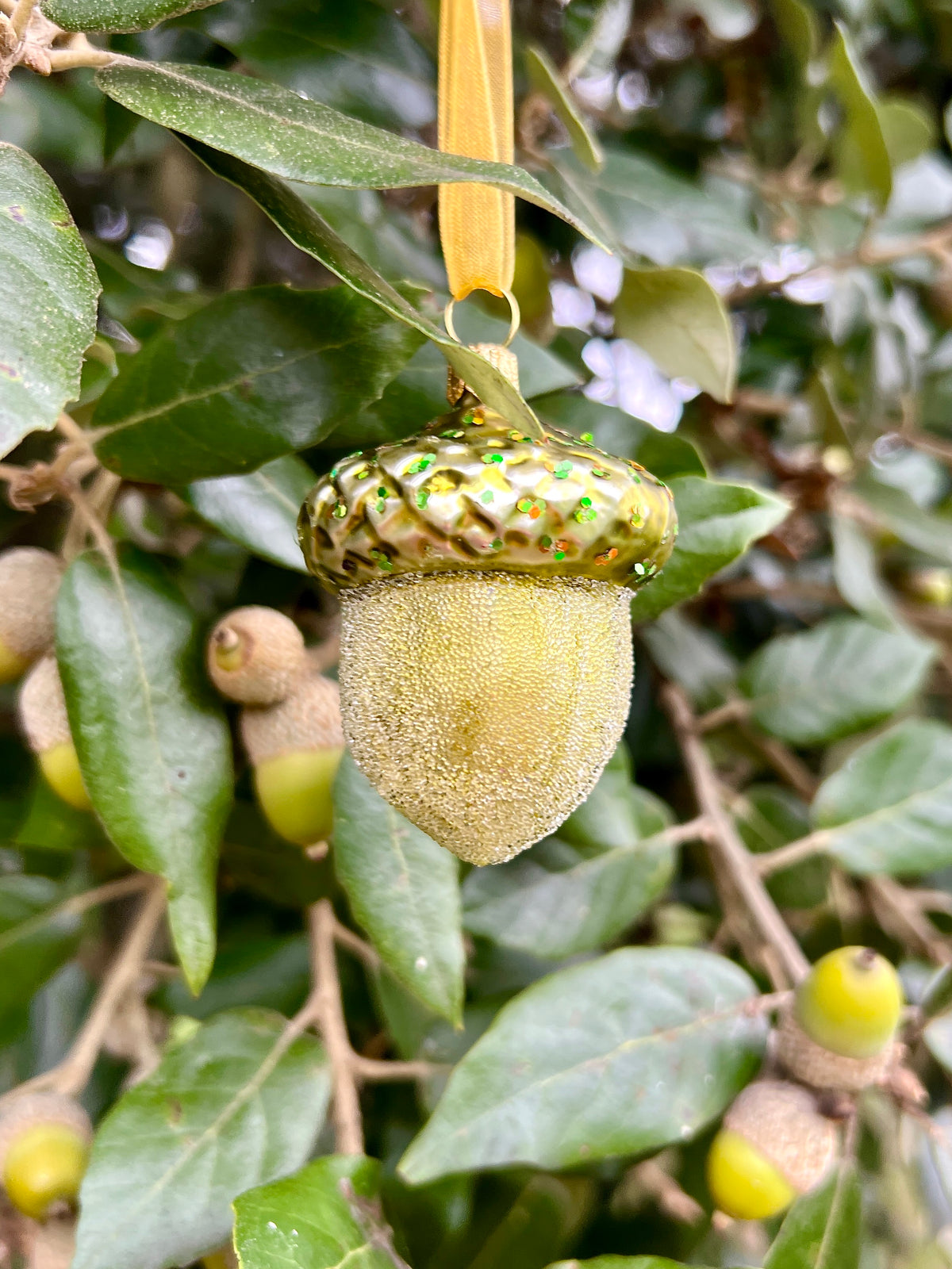 Dan Cooper Garden Acorn Christmas Decoration