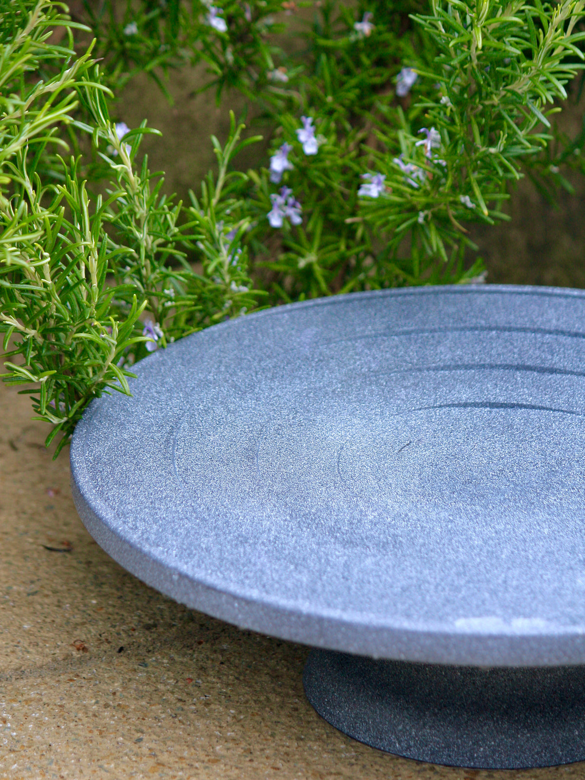 Water is Life Birdbath & Drinker