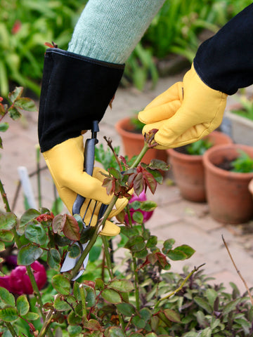 gold leaf gardening gloves ladies Gold Leaf Tough Touch Gardening Gloves, Womens – Dan Cooper Garden