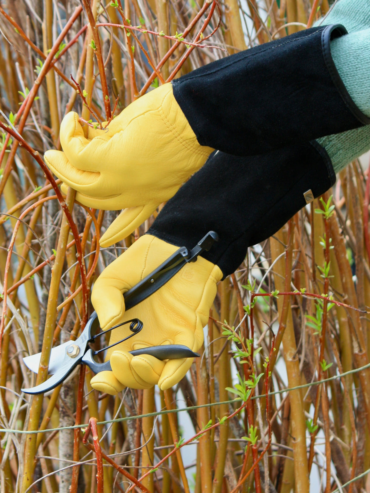 gold leaf gardening gloves royal horticultural society Gold Leaf Tough Touch Gardening Gloves, Womens – Dan Cooper Garden