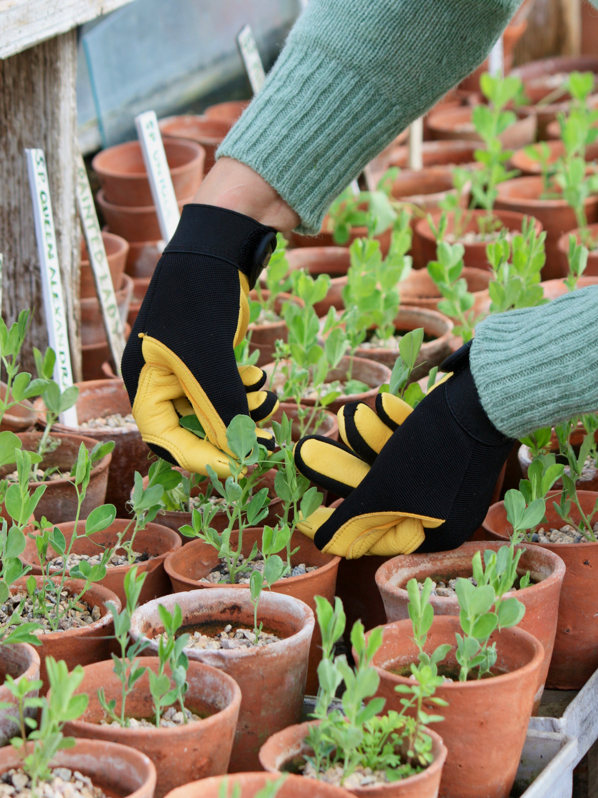 Gold Leaf Soft Touch Gardening Gloves, Womens