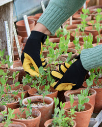 Gold Leaf Soft Touch Gardening Gloves, Womens