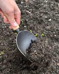 Signature Garden Scoop