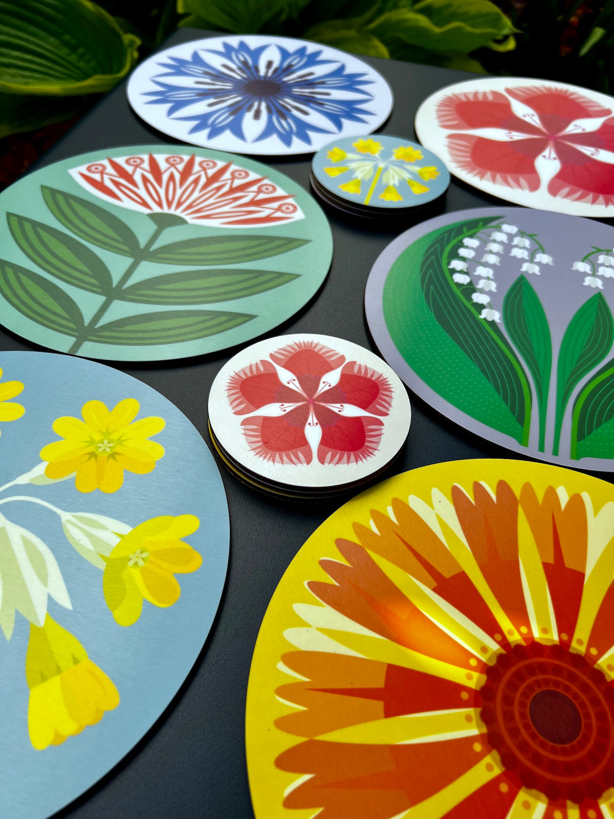 Jenny Duff Helenium Coaster