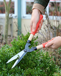 Niwaki Mini Shears