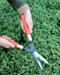 Niwaki Mini Shears