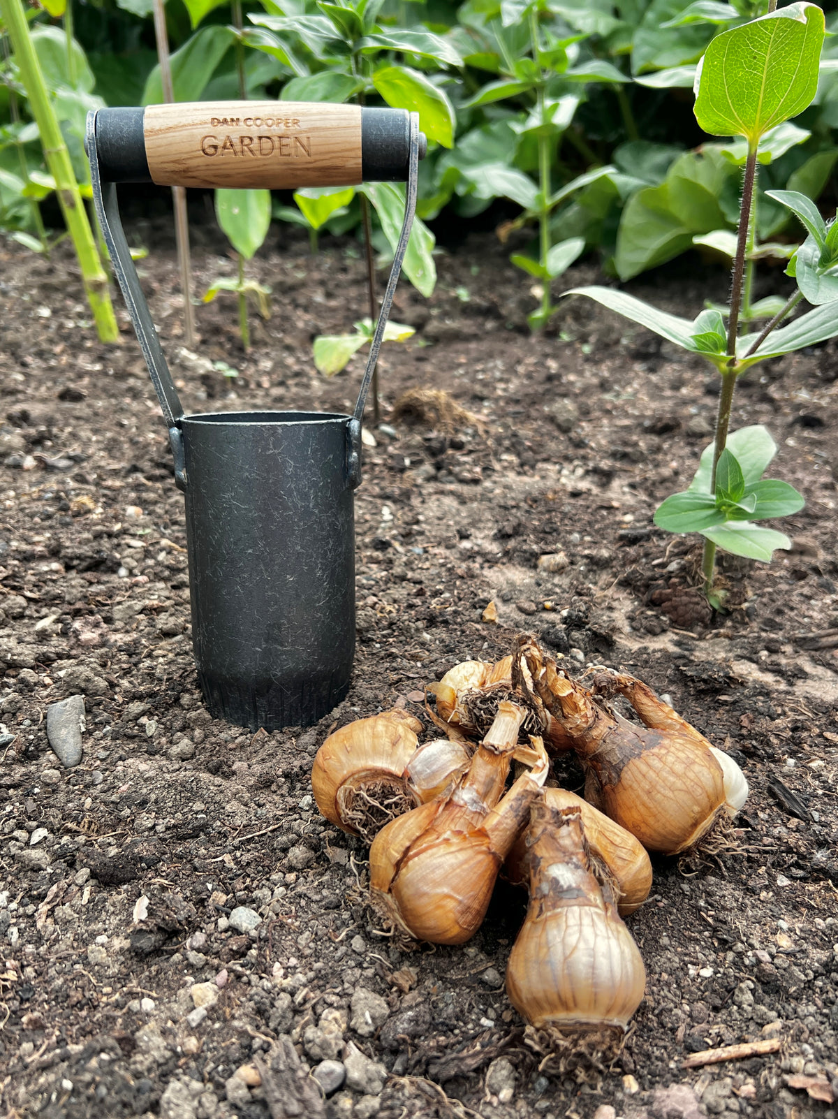 Signature Bulb Planter