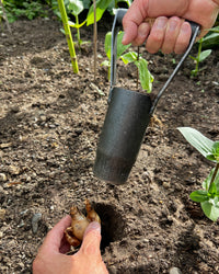 Signature Bulb Planter