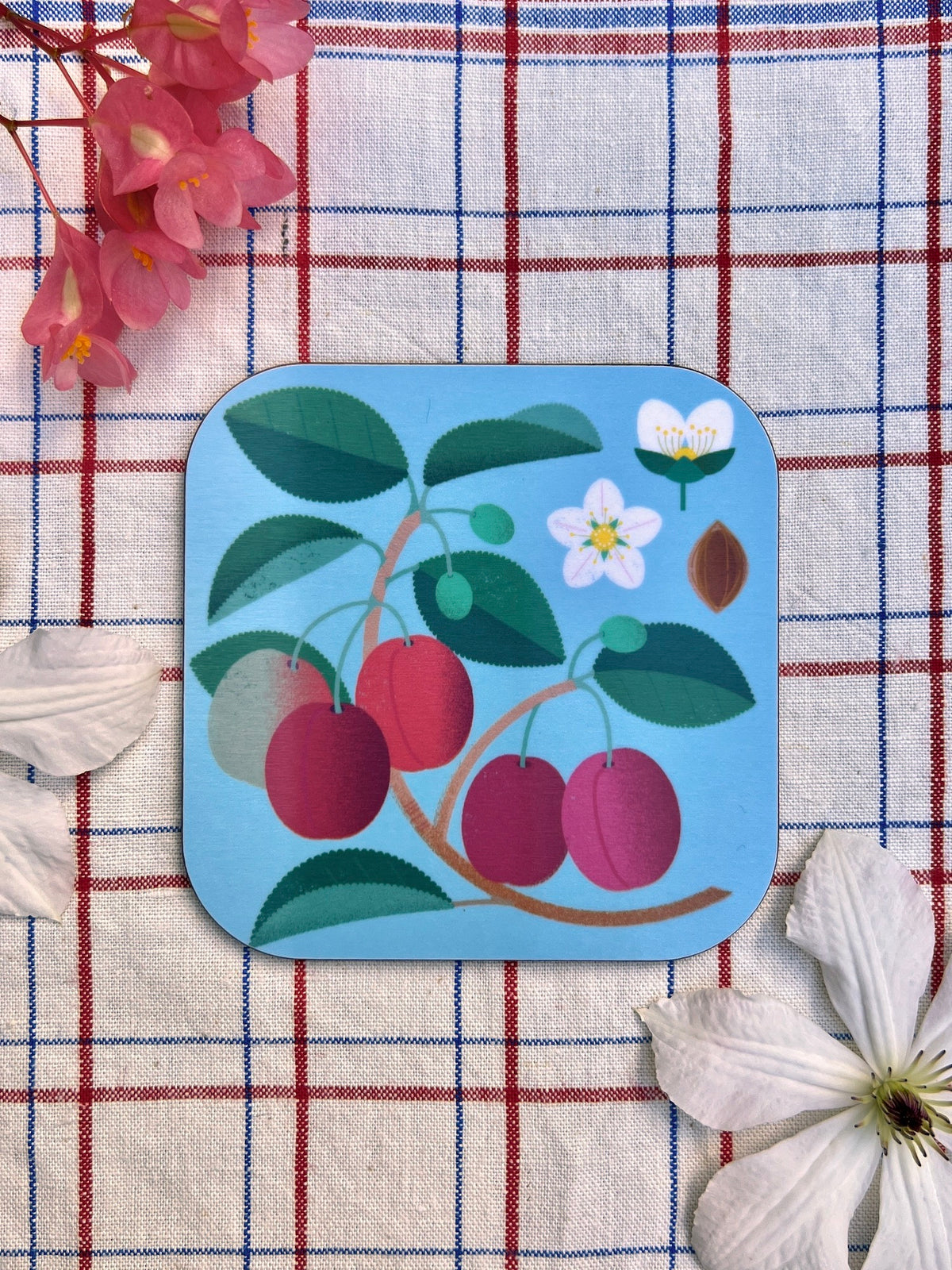 Jenny Duff Plum Coaster