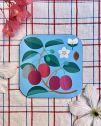 Jenny Duff Plum Coaster