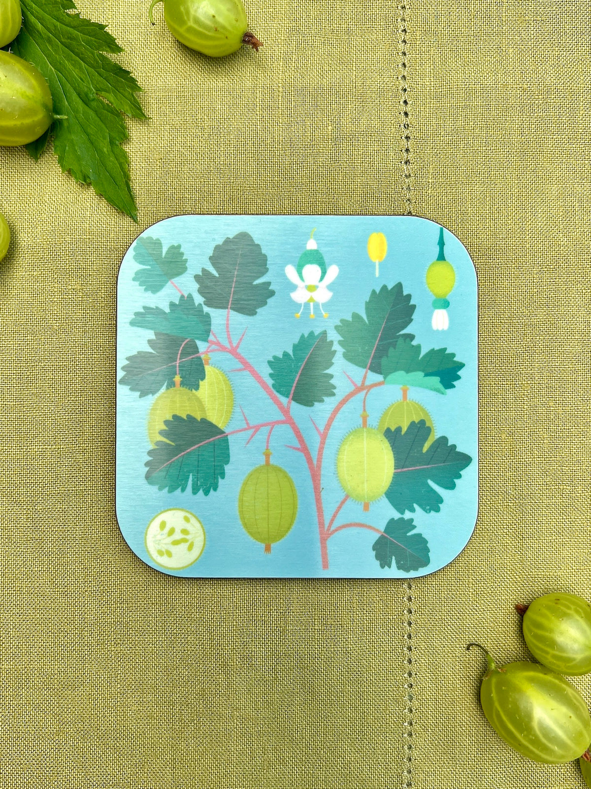 Jenny Duff Gooseberry Coaster