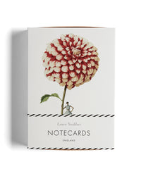 Laura Stoddart Dahlia Notecards