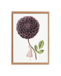 Laura Stoddart Dahlia Notecards