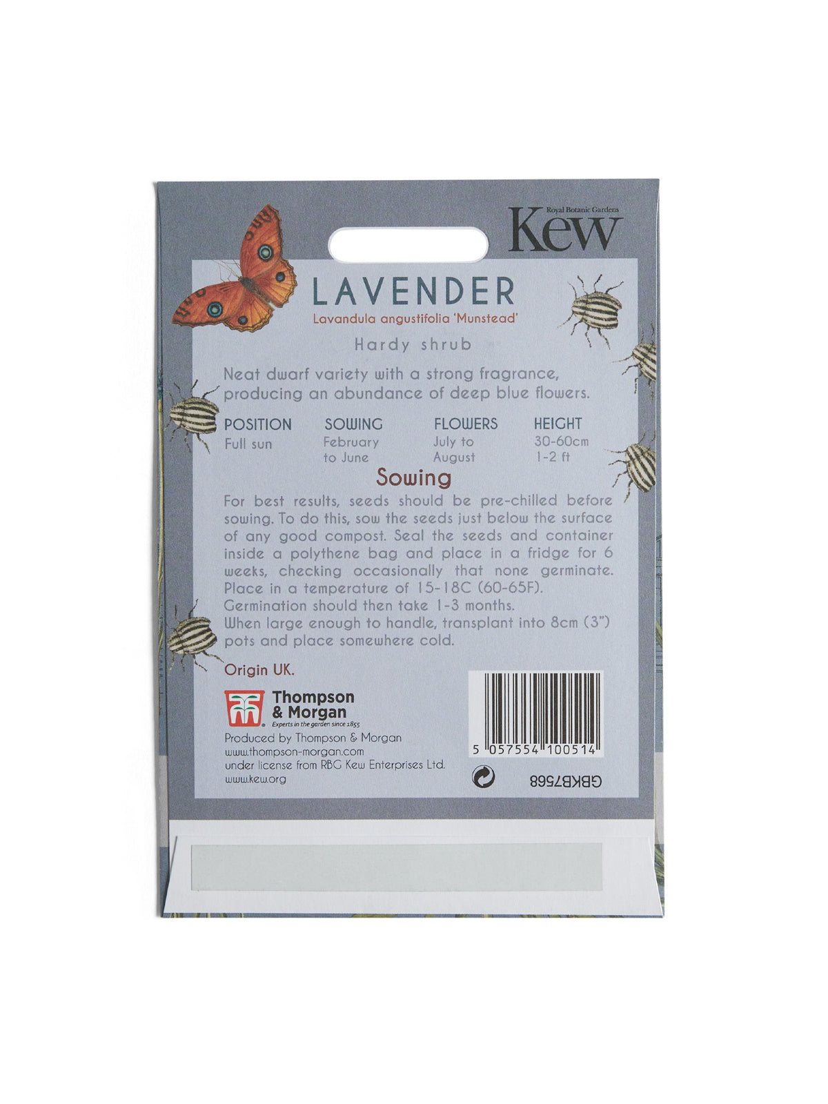 Kew Pollination Collection Lavender 'Munstead' Seeds
