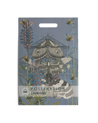Kew Pollination Collection Lavender 'Munstead' Seeds