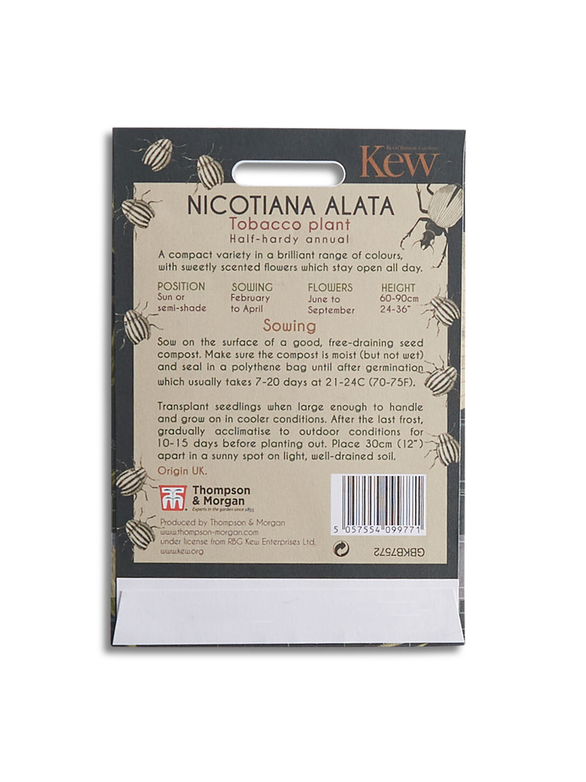Kew Pollination Collection Nicotiana alata