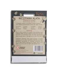 Kew Pollination Collection Nicotiana alata