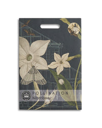Kew Pollination Collection Nicotiana alata