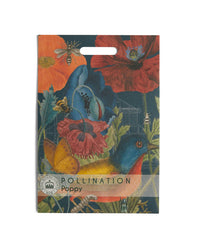Kew Pollination Collection Wild Poppy