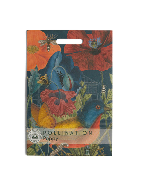 Kew Pollination Collection Wild Poppy