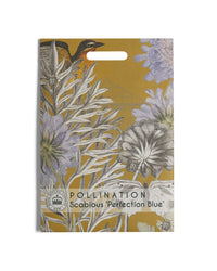 Kew Pollination Collection Scabious 'Perfection Blue'