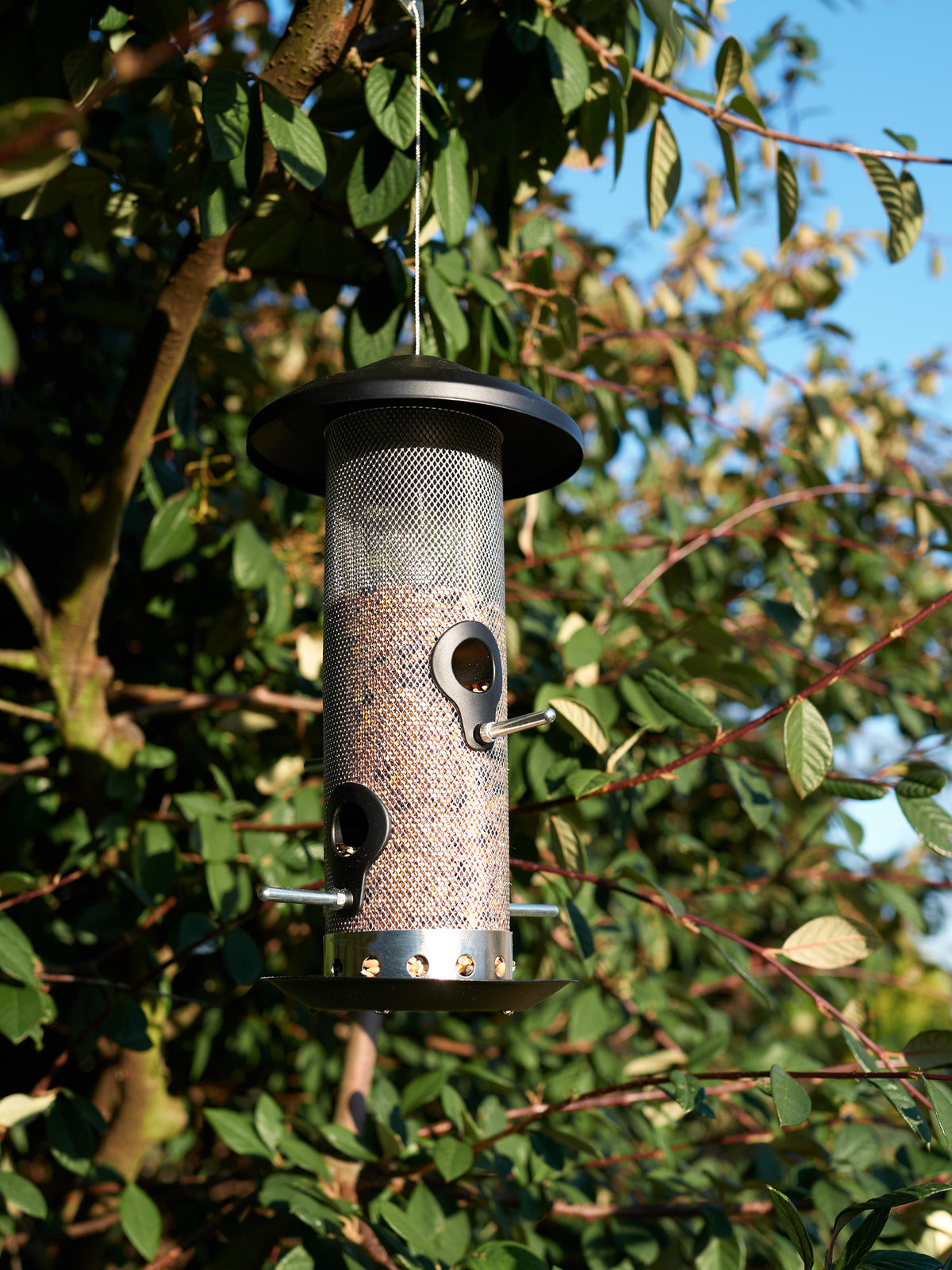 Plastic-Free Seed Bird Feeder