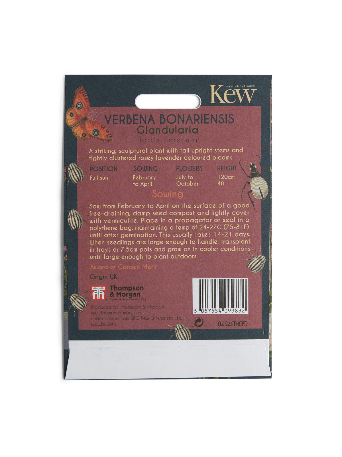 Kew Pollination Collection Verbena bonariensis