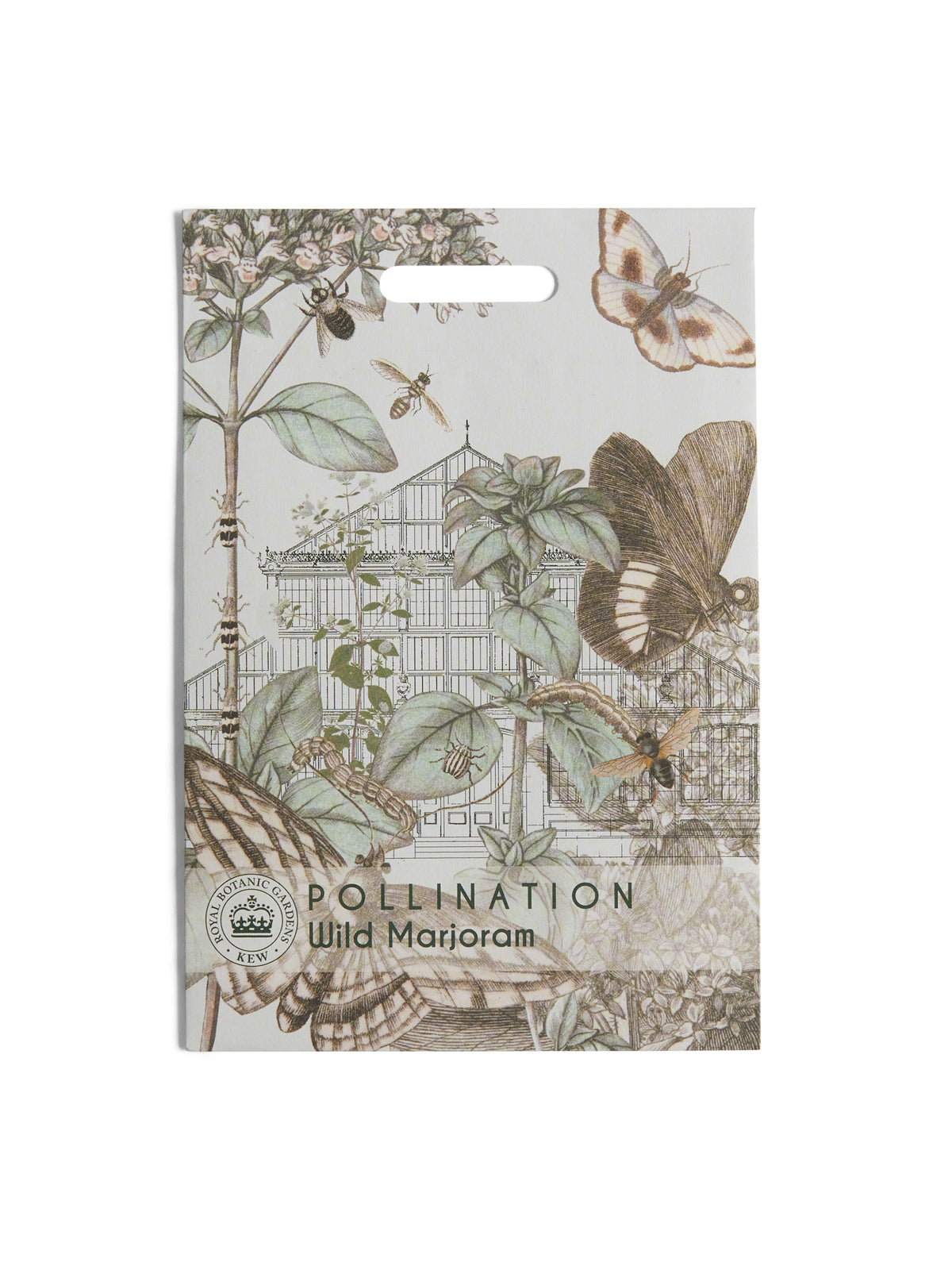 Kew Pollination Collection Wild Marjoram