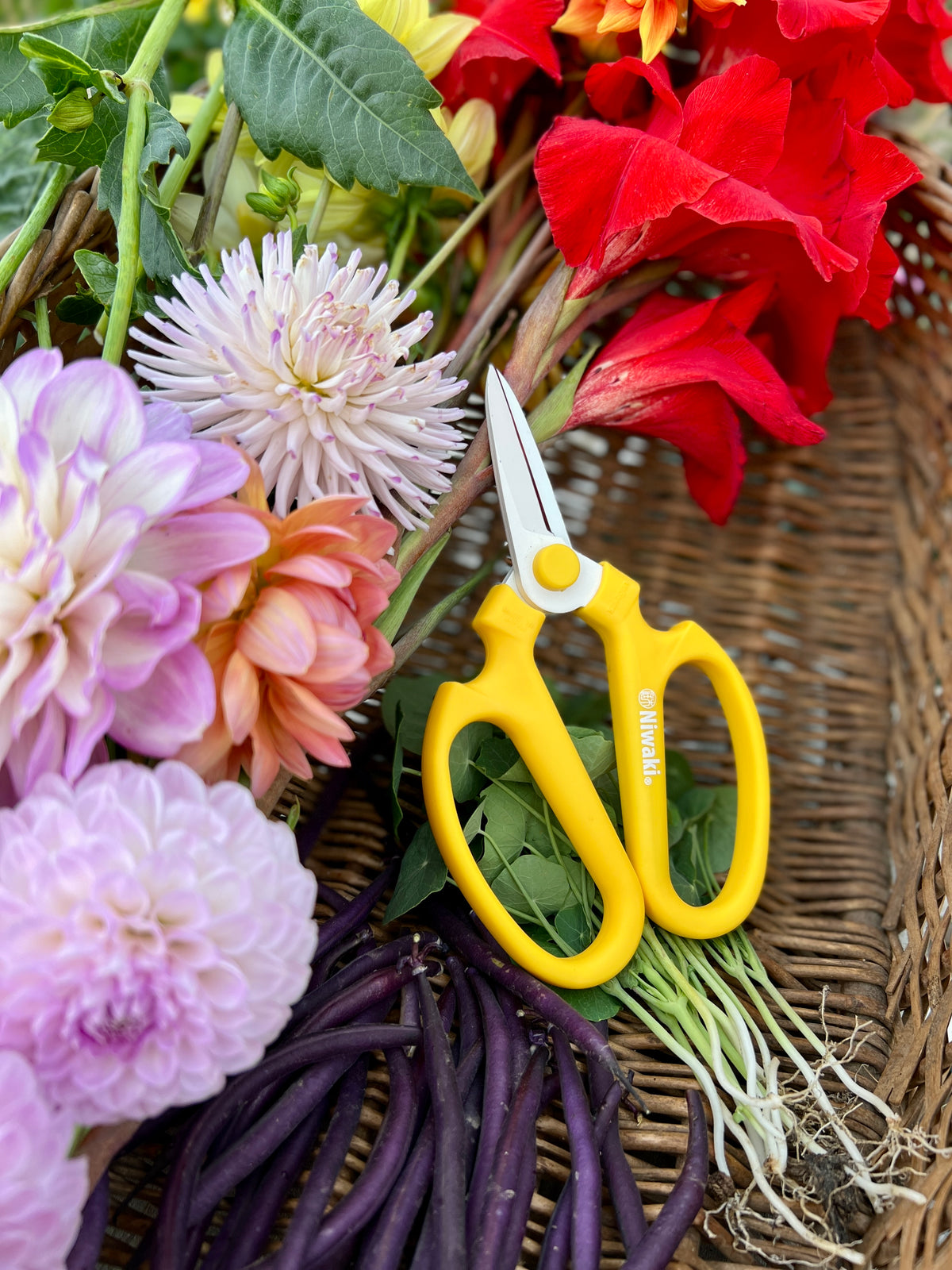 Niwaki Sakagen Flower Scissors, Yellow